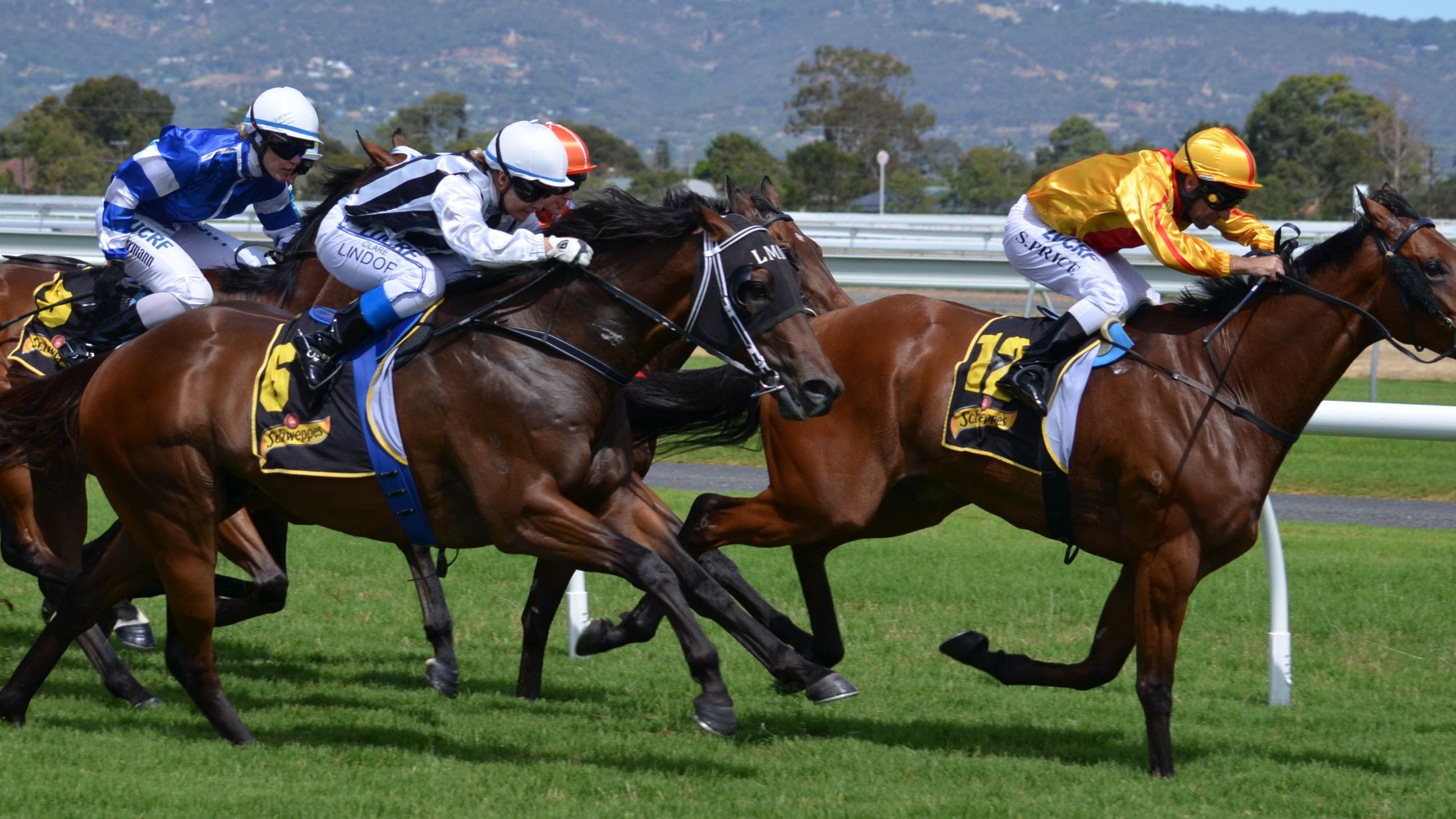 Dubai Horse Racing
