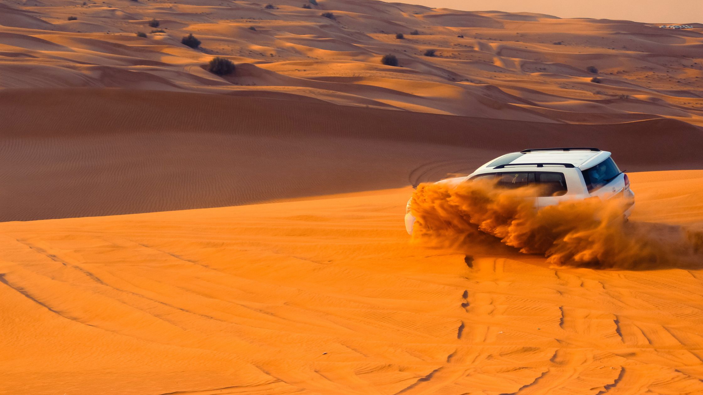 How to Book Desert Safari Online