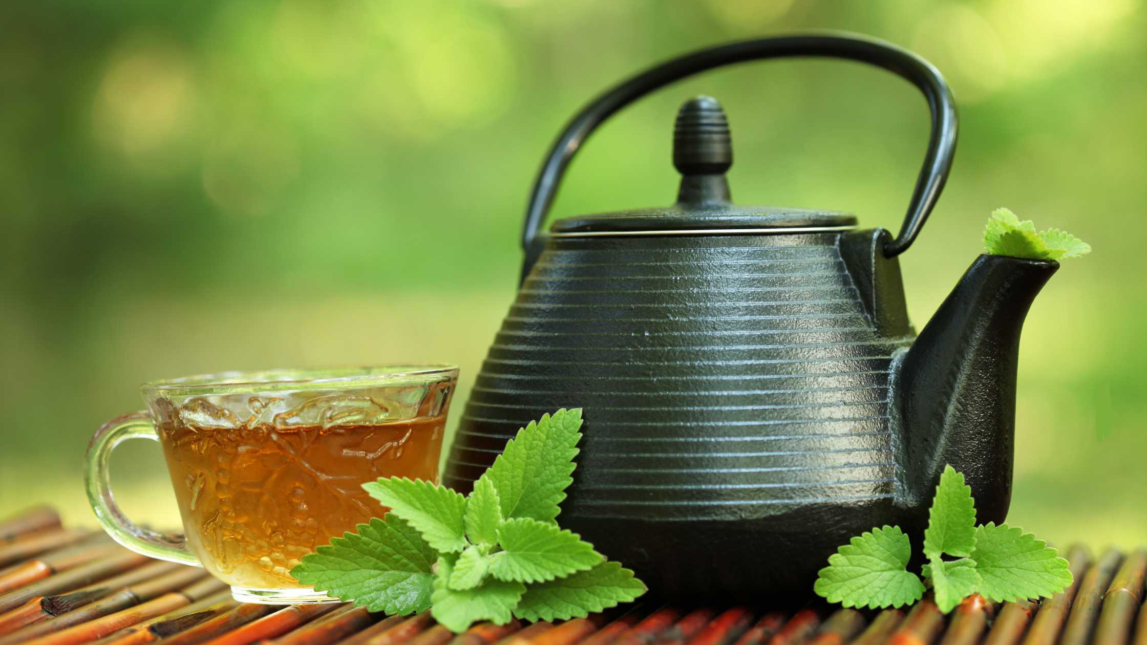 Arabian Tea House: A Serene Oasis in the Heart of Dubai