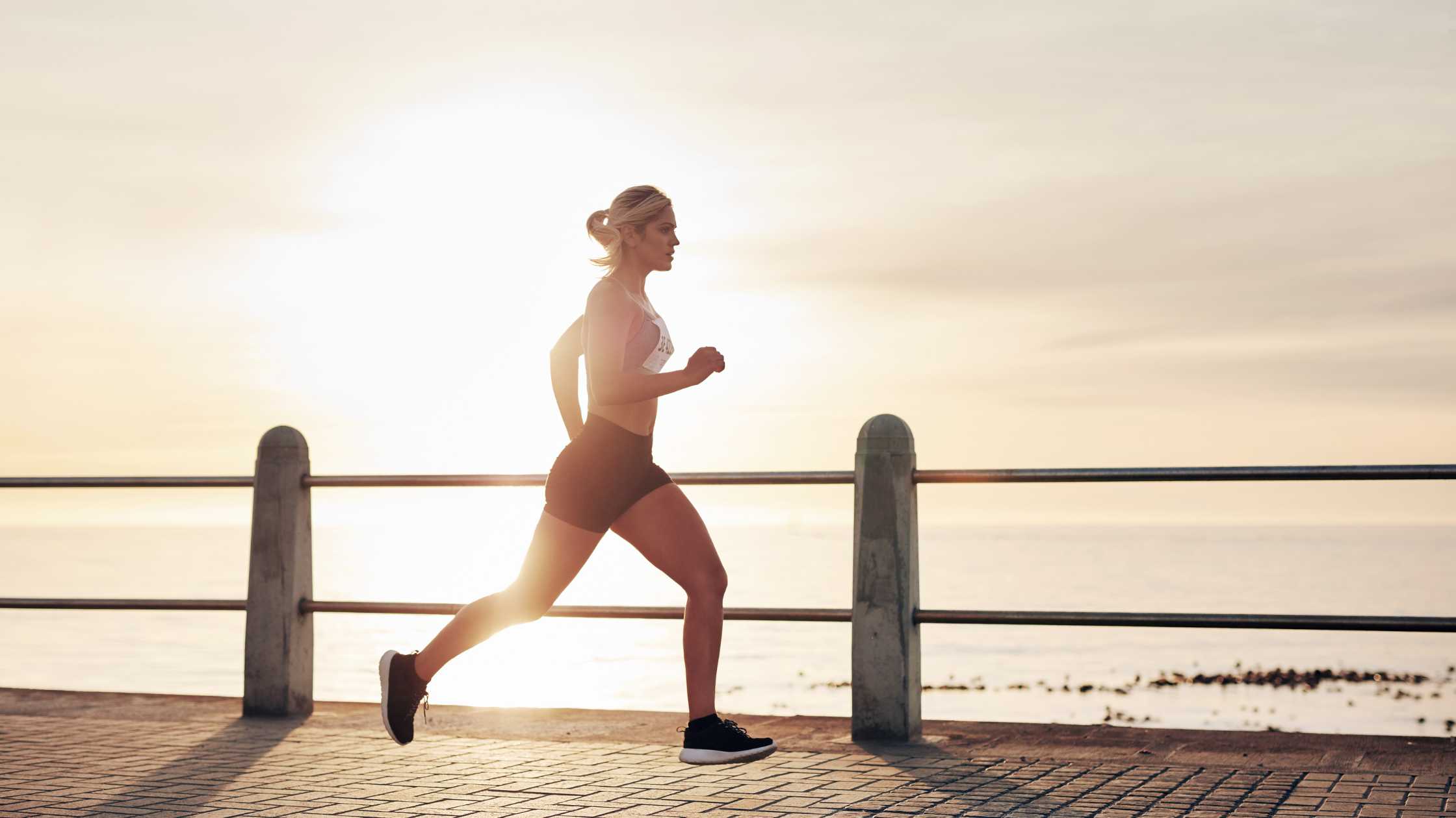 Free Fitness Alert: Spartan Workout Sessions Across Dubai