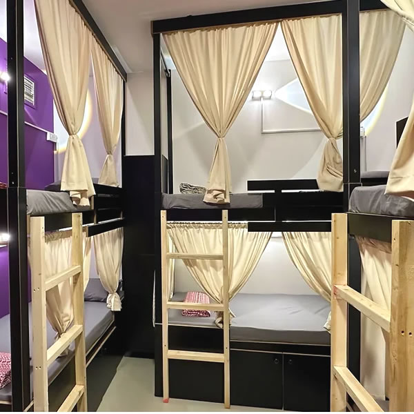 Papaya backpacker's front view